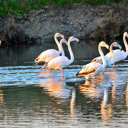 Casa Lucia - Matrimoniale, Singolo E Culla Bebè - Pet Friendly *